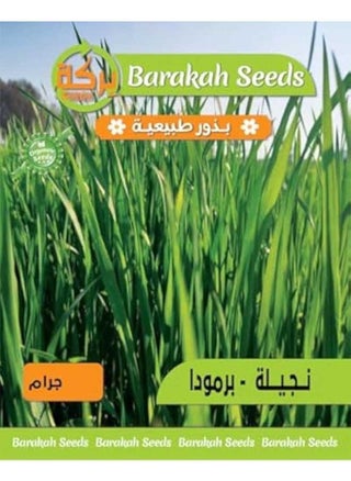 نجيلة