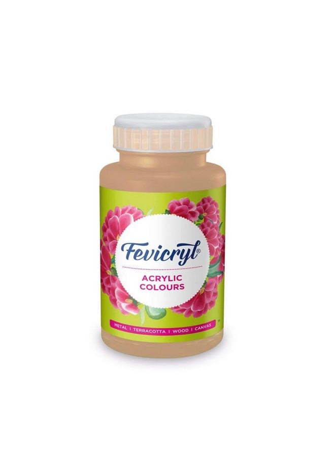Pidilite - Fevicryl Acrylic Colour Flesh Tint, 500ml, Art and Craft Paint, DIY Paint, Rich Pigment, Non-Craking Paint for Canvas, Wood, Leather, Earthenware, Metal | Ideal for school projects, hobbyists, artists - Image 1