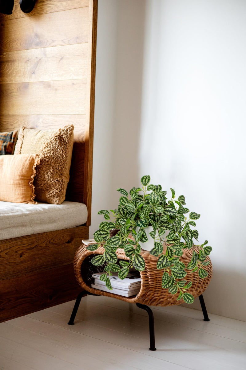 Briful Fake Plants Indoor Artificial Potted Silk Plants Faux Watermelon Peperomia Trailing Vine Plant for Home Office Livingroom Desk Shelf Mantle Decoration(Green/White - 1 Pack) - Image 5