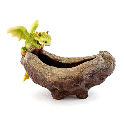 Top Collection Top Collection Rex The Green Dragon Perched on Succulent Planter and Air Plant Pot 4.75-Inch Tall 7.5-Inch Wide  - Image 1