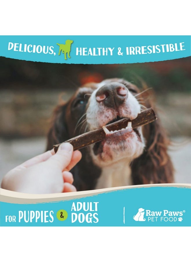 Raw Paws - WildCaught Venison Treats For Dogs, 6Oz  Packed In Usa  Real Meat Venison Jerky Dog Treats FreeRange Venison Dog Jerky Treats  AllNatural, Grain, Corn & Soy Free Venison Dog Treats - Image 1