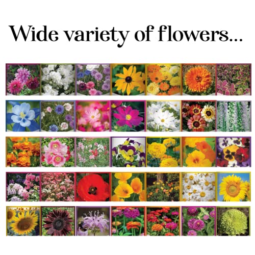 Gardeners Basics أساسيات البستانيين، عبوات بذور الزهور للزراعة 35 نوعًا فرديًا من الزهور المعمرة، السنوية، وبذور الزهور البرية للزراعة في الهواء الطلق للنحل والفراشات - بذور زهور جميلة - Image 4