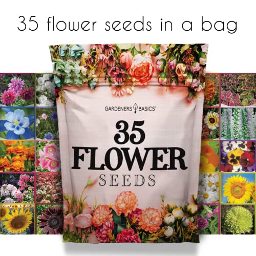 Gardeners Basics أساسيات البستانيين، عبوات بذور الزهور للزراعة 35 نوعًا فرديًا من الزهور المعمرة، السنوية، وبذور الزهور البرية للزراعة في الهواء الطلق للنحل والفراشات - بذور زهور جميلة - Image 5
