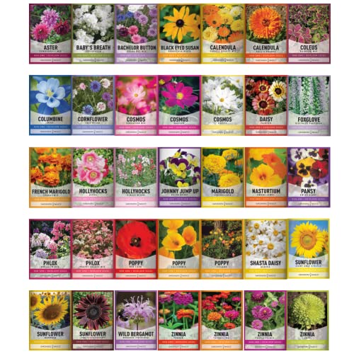 Gardeners Basics أساسيات البستانيين، عبوات بذور الزهور للزراعة 35 نوعًا فرديًا من الزهور المعمرة، السنوية، وبذور الزهور البرية للزراعة في الهواء الطلق للنحل والفراشات - بذور زهور جميلة - Image 2