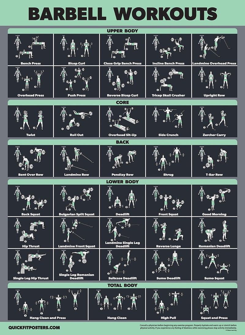 Palace Learning 2 Pack Dumbbell Workouts and Barbell Exercise Poster Set - Laminated 2 Chart Set - Dumbbell Exercise Routine & Barbell Workouts [DARK] (LAMINATED, 18â€ x 24â€) - Image 4