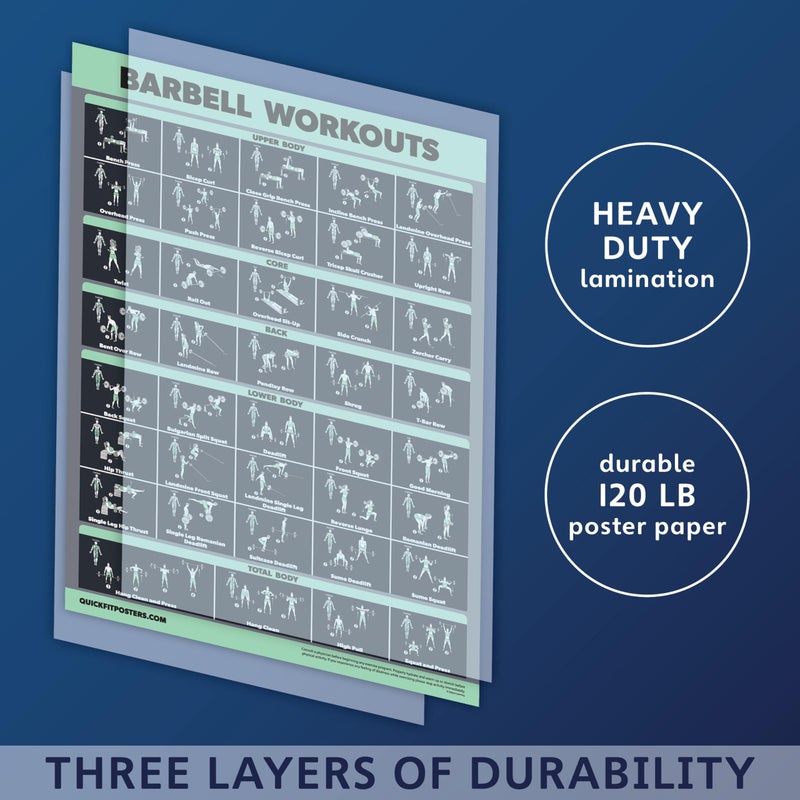Palace Learning 2 Pack Dumbbell Workouts and Barbell Exercise Poster Set - Laminated 2 Chart Set - Dumbbell Exercise Routine & Barbell Workouts [DARK] (LAMINATED, 18â€ x 24â€) - Image 3