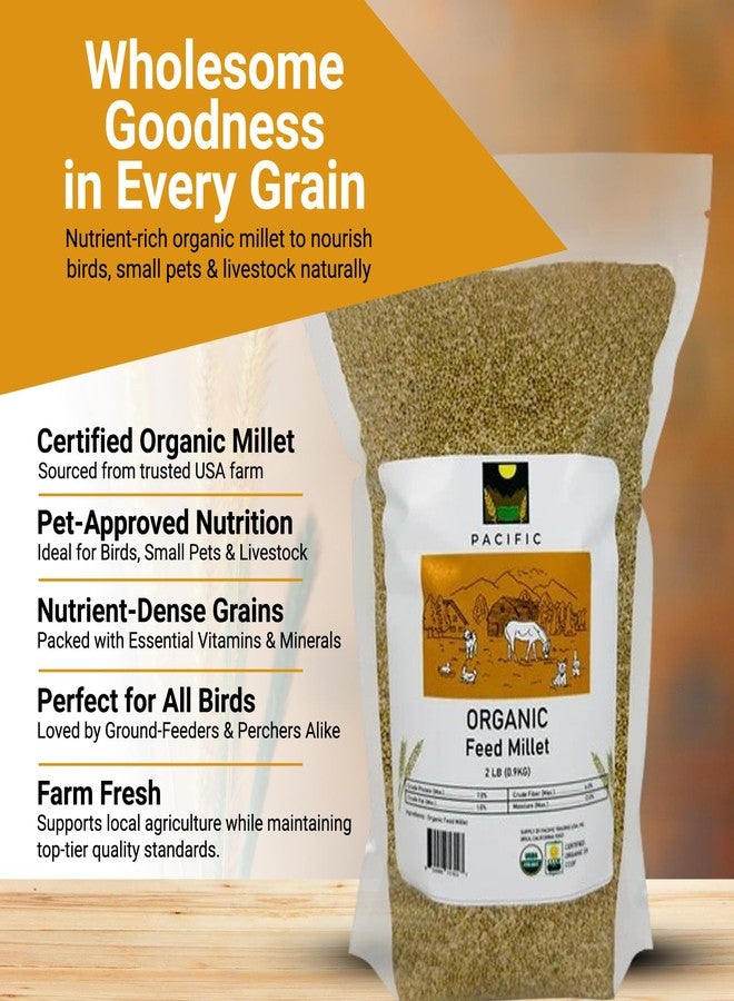 PACIFIC Organic Petfood Organic Feed Millet - Millet Bird Seed | Rich with Fiber & Minerals | USDA and CCOF Certified | Packed in USA - 2Lbs - Image 3