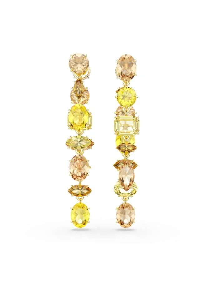 SWAROVSKI  Gema Drop Earrings for Women | Best Price UAE
