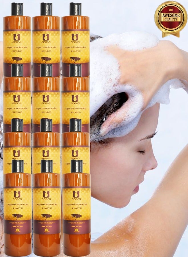 Argan 12 Pieces Argan Oil Moisturizing Shampoo Best Product For Dry And Frizzy Hair 500ml - Image 1