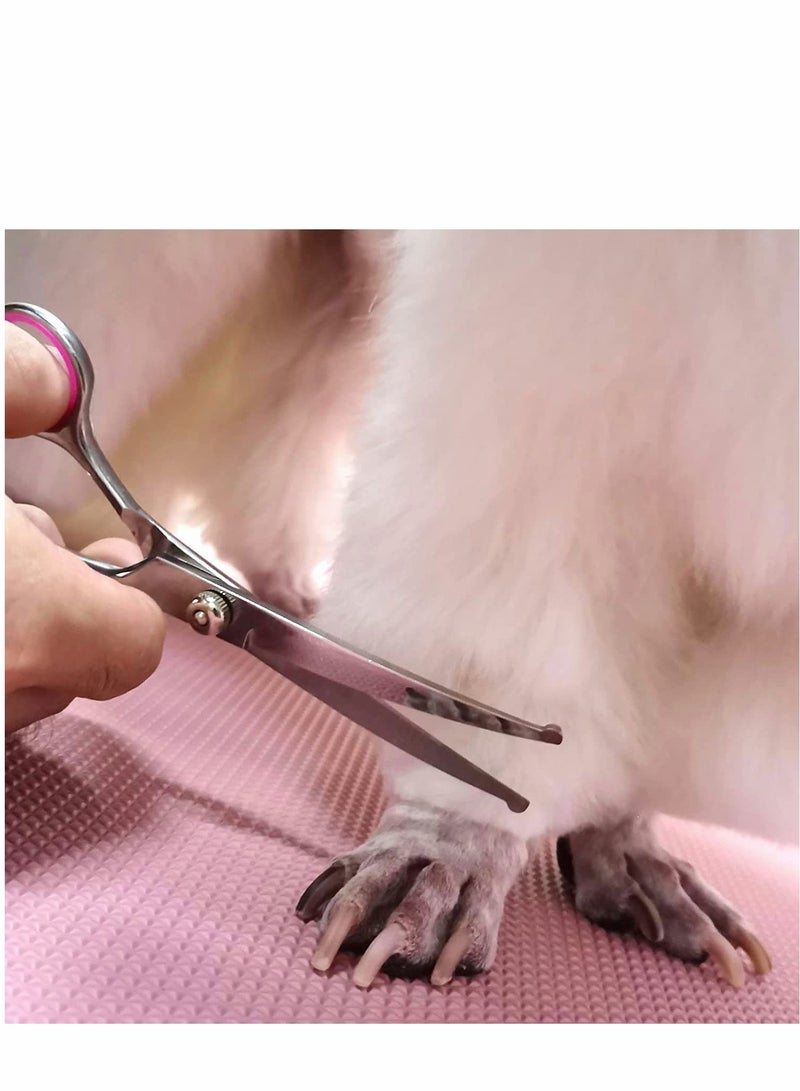 Excefore طقم مقصات لتجميل الكلاب مع نصائح دائرية آمنة مجموعة مقصات احترافية من الفولاذ المقاوم للصدأ مستقيم ومنحني ومشط للشعر الطويل والقصير للقطط والحيوانات الأليفة - Image 3