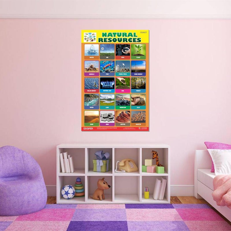 ESCAPER Natural Resources Educational Charts for Kids, (11.5 x 17.5 inches) Printed On 300 GSM, Laminated, Self Adhesive Back, Kids Study Material, Learning Chart, Educational Posters - Image 5