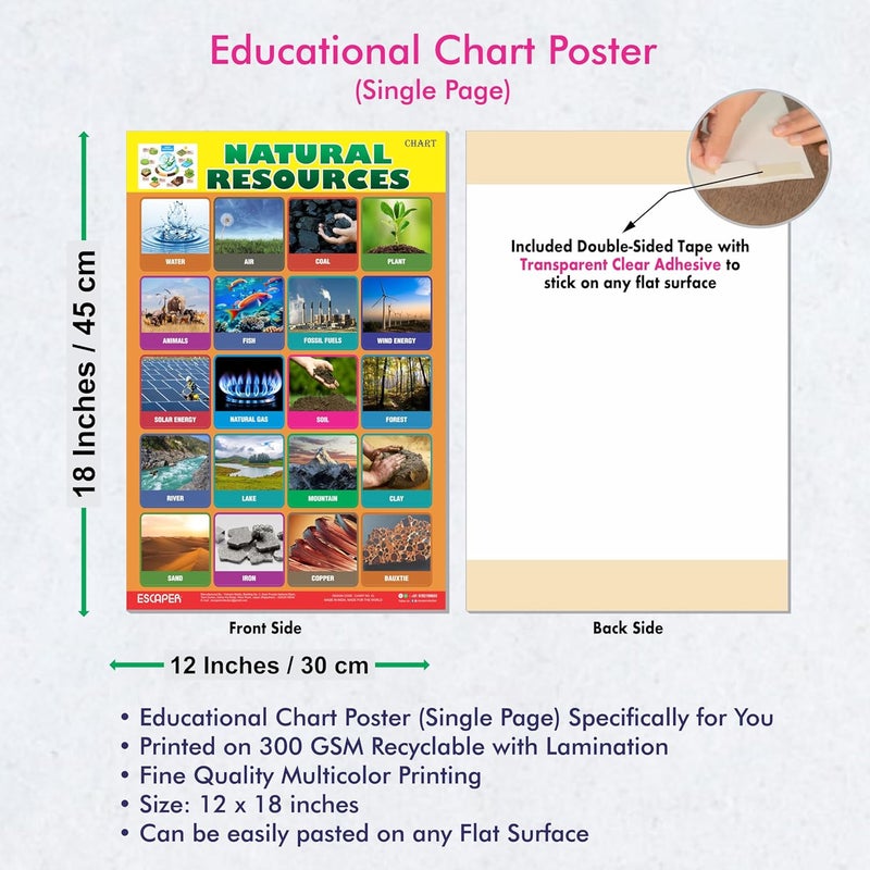 ESCAPER Natural Resources Educational Charts for Kids, (11.5 x 17.5 inches) Printed On 300 GSM, Laminated, Self Adhesive Back, Kids Study Material, Learning Chart, Educational Posters - Image 3