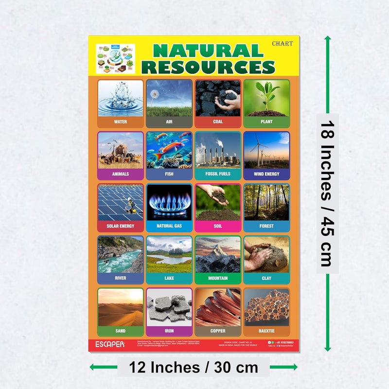 ESCAPER Natural Resources Educational Charts for Kids, (11.5 x 17.5 inches) Printed On 300 GSM, Laminated, Self Adhesive Back, Kids Study Material, Learning Chart, Educational Posters - Image 2
