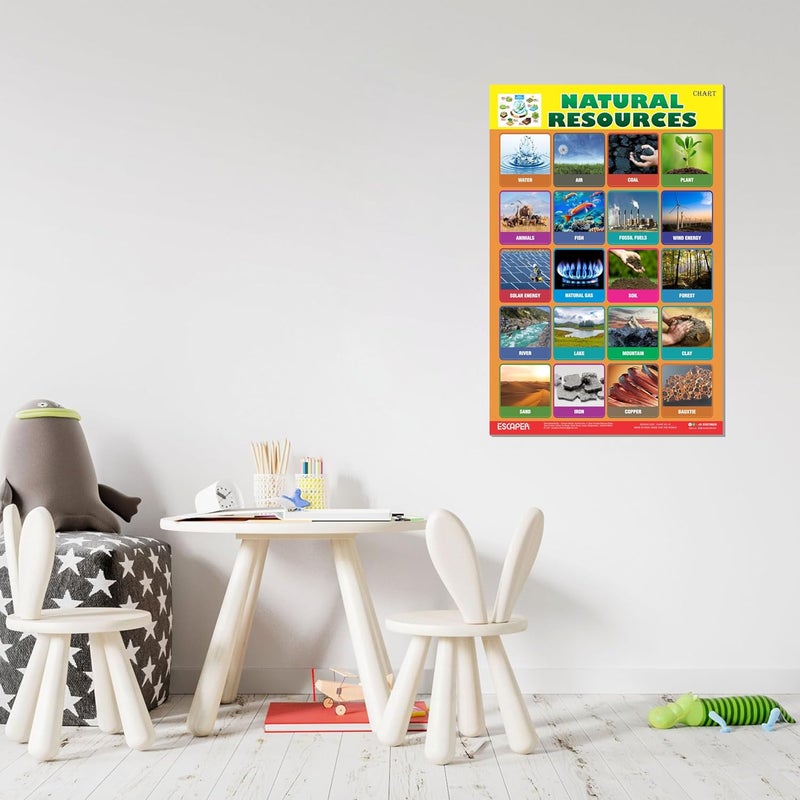 ESCAPER Natural Resources Educational Charts for Kids, (11.5 x 17.5 inches) Printed On 300 GSM, Laminated, Self Adhesive Back, Kids Study Material, Learning Chart, Educational Posters - Image 4