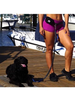 Black Rhino Black Rhino - Premium Hands Free Dog Leash for Running Walking Jogging & Hiking - Adjustable Length Dual Handle Bungee Leash Medium - Large Dogs Neoprene Padded Handles - Running Pouch Included Aqua  - Image 4