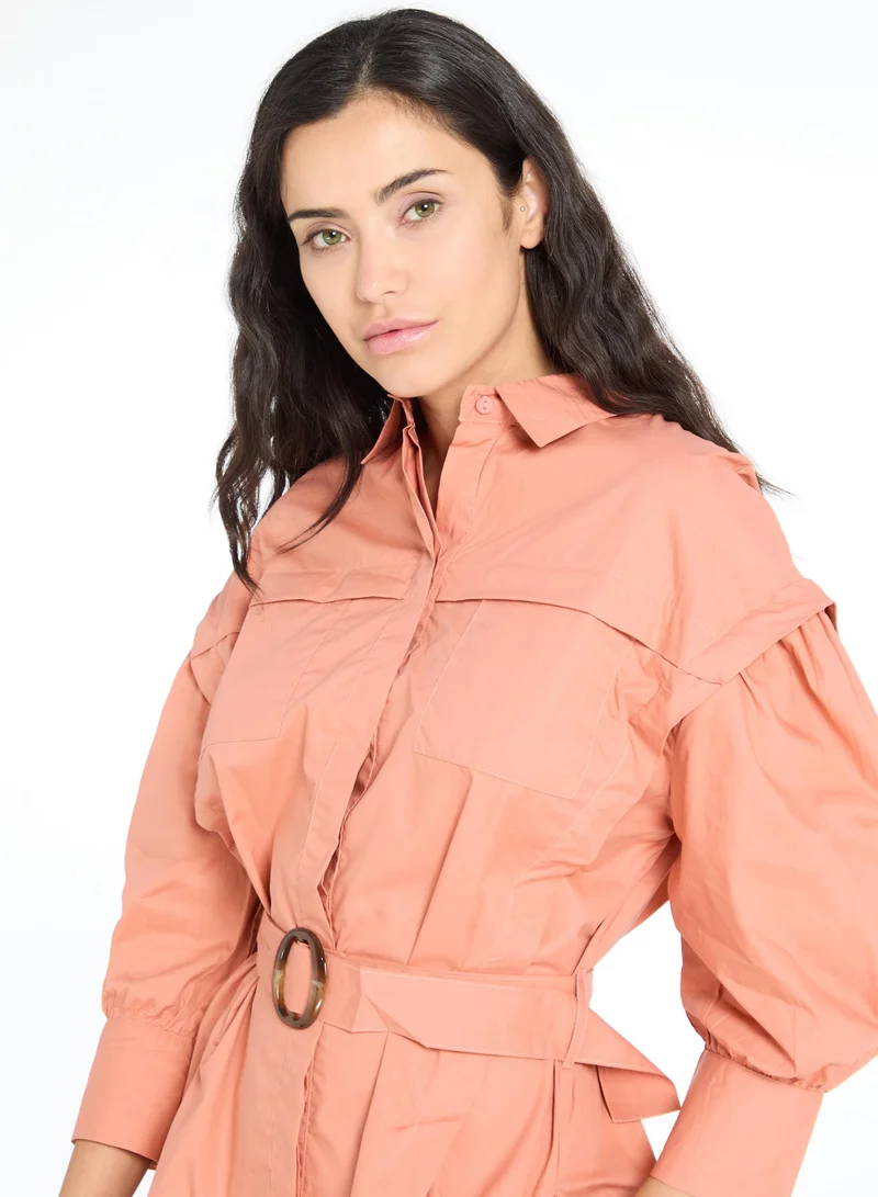 The Label Life Rust Voluminous Sleeves Dress