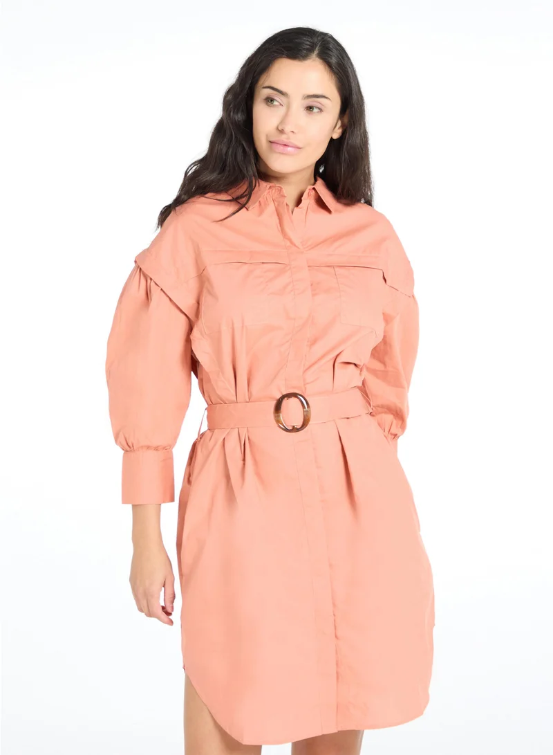 The Label Life Rust Voluminous Sleeves Dress