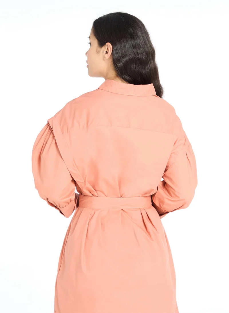 The Label Life Rust Voluminous Sleeves Dress