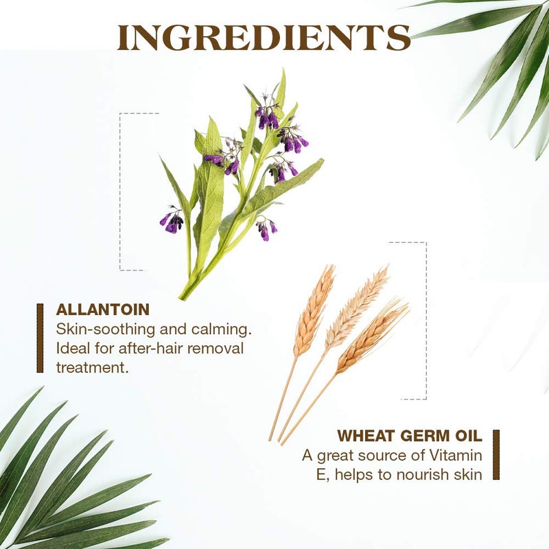 GiGi Hair Removal Wax Strips for Body - Pre-Waxed with GiGi All-Purpose Honee Formula, Waxing Kit For Women, 12 Strips + After Wax Lotion - Image 3