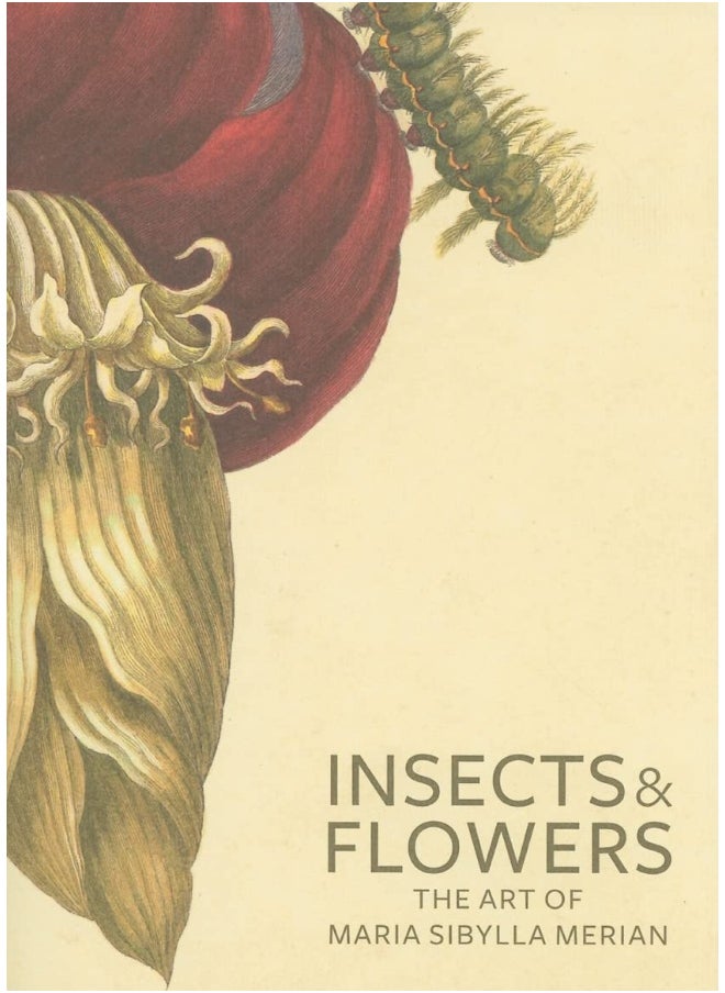 Insects and Flowers – The Art of Maria Sibylla Merian 