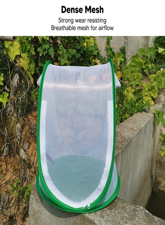 Kadimendium Butterfly Habitat Cage, Dense Mesh Foldable Mesh Cage Good Airflow Convenient Handle for Feeding - Image 4