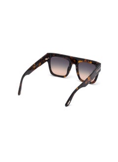 TOM FORD Rimless Acetate Brown Women Sunglass - pzsku/ZA7A4BA1DA82A3DCCF937Z/45/_/1738942362/1da478ce-2007-442a-835a-db1fdc9ed736