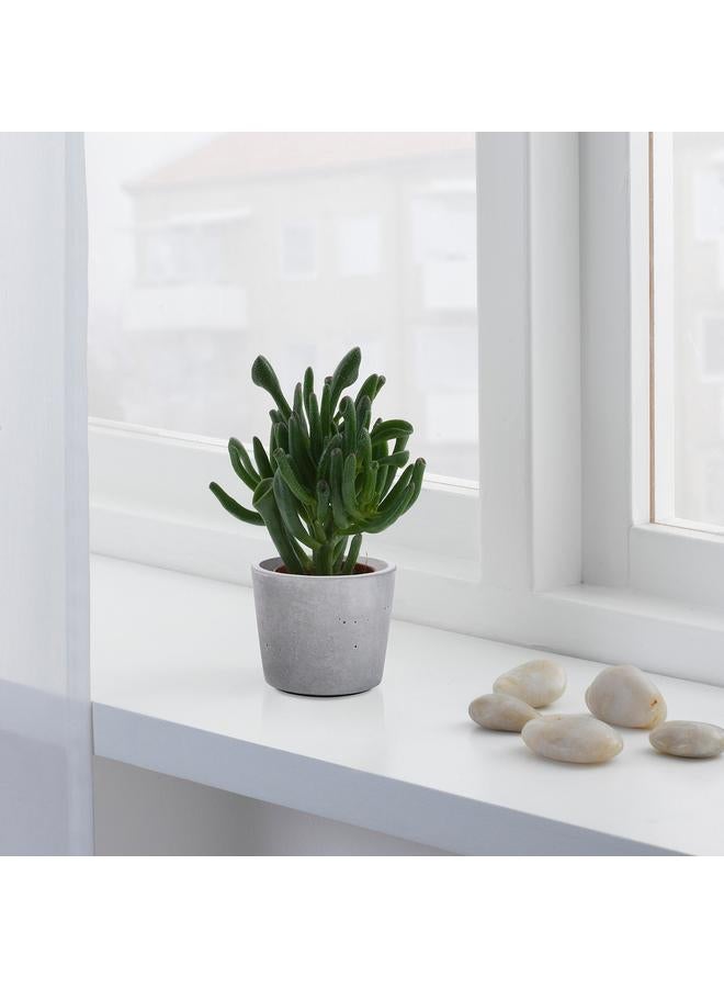 erorex Plant Pot, In/Outdoor Light Grey, 6 Cm - Image 2