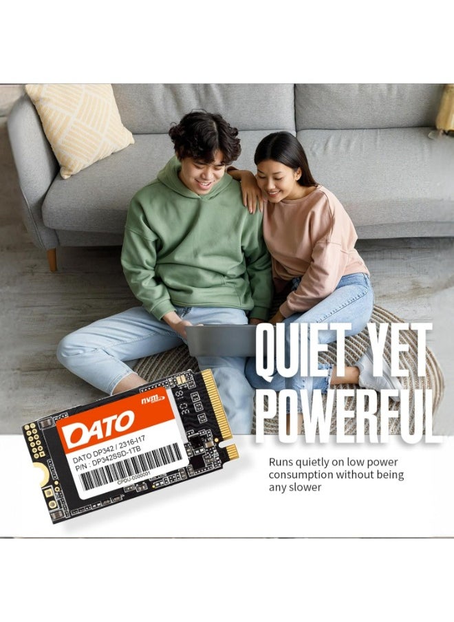 DATO - SSD-DATO 1TB, PCIe Gen3x4 - Internal Solid State Drive, Up to 2500/1800 MB/s, DP342 - Image 1