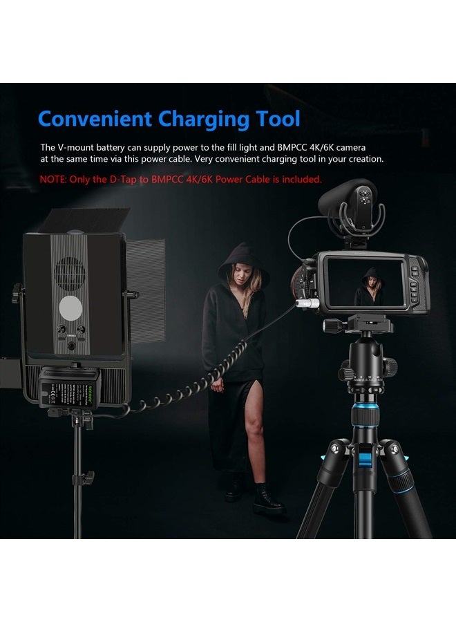Neewer D-Tap to BMPCC 4K/6K Coiled Power Cable Compatible with Blackmagic Pocket Cinema Camera 4K/6K Gold Mount V Mount Battery Weipu 2 Pin Female to P Tap, 16 inches - 50 inches Length