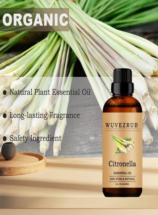 Wuvezrub Citronella Essential Oils, 30ML Pure and Natural Essential Oil for Aromatherapy Diffuser - Citronella /1 Fl Oz - Image 2