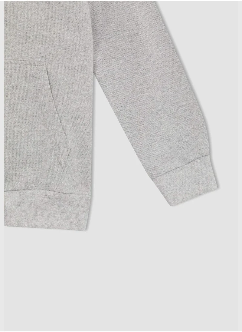 DeFacto Regular Fit Hooded Sweatshirt