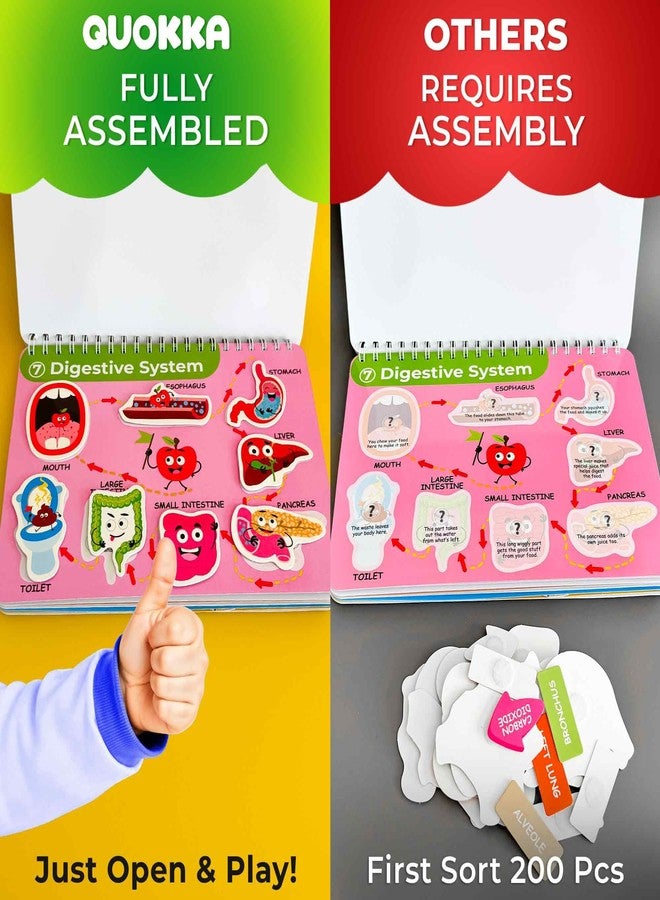 QUOKKA Human Body Busy Books for Kids Ages 4-8 - Fun Human Anatomy Activities for Kids Learning at Home or Classrooms - My Preschool Montessory Busy Book for Toddlers 3-5 I Comes Fully Assembled - Image 2
