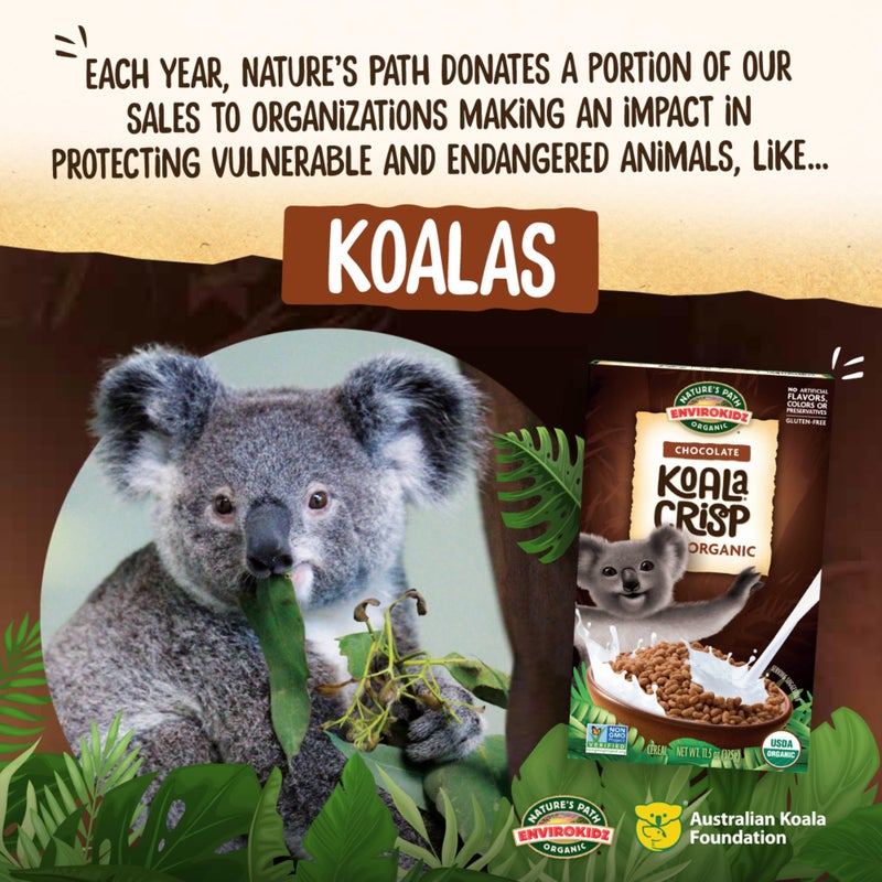 EnviroKidz Organic Koala Crisp Cereal, 11.5 oz (Pack of 1), Chocolate, Gluten Free, Non-GMO, Fair Trade, by Nature's Path - Image 2