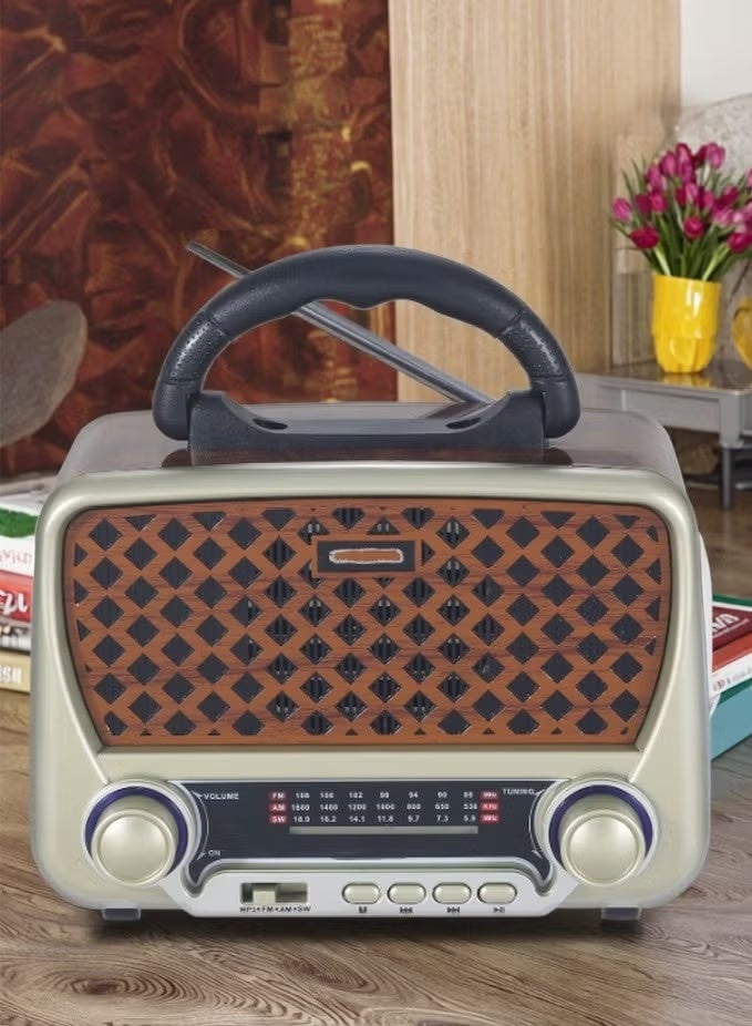 دينكس راديو محمول HI-FI بثلاث قنوات FM - AM بلوتوث AUX بطاقة TF قرص فلاش USB - Image 1