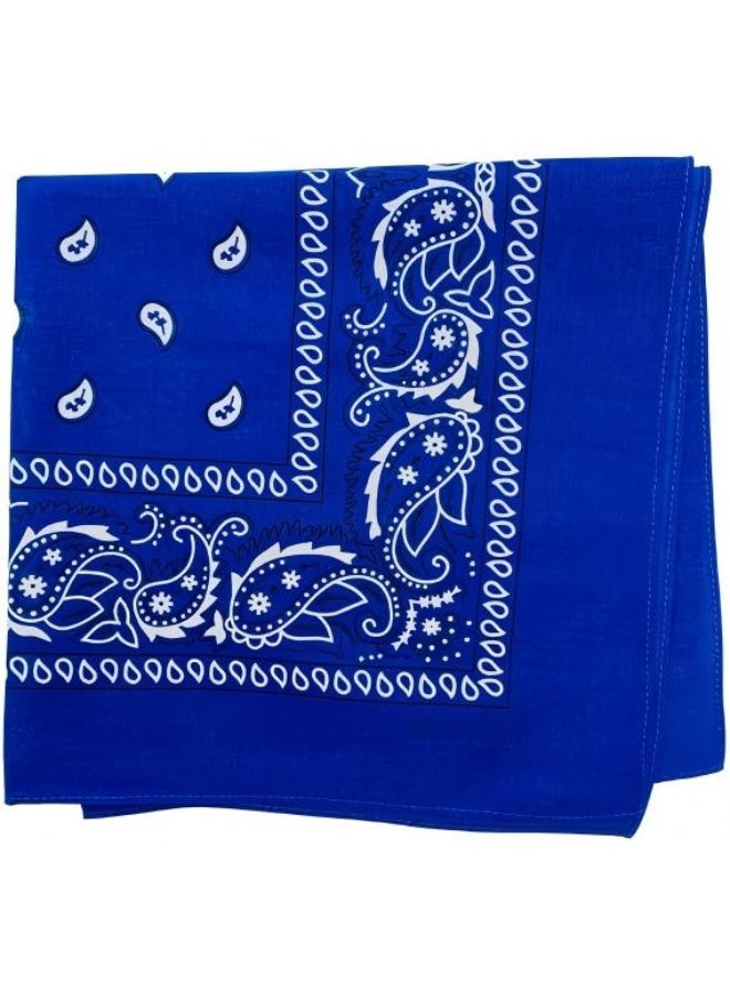 Beauenty Vintage Printed Headscarf Blue - Image 2
