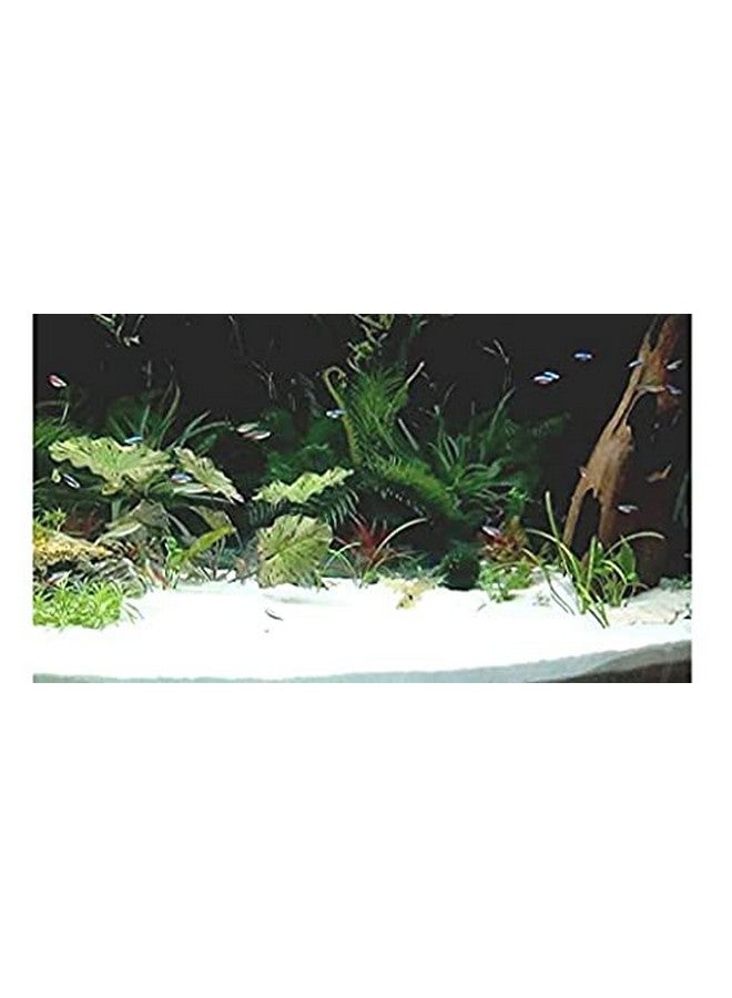 VANNEF Natural Aquarium White Sand for Lawn,Garden, Plants, Freshwater & Aquarium Dcor (White 950gm) - Image 4