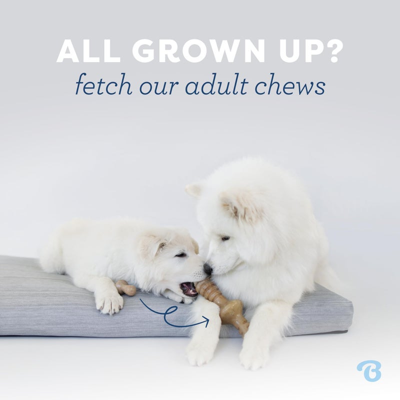 Benebone Puppy Fishbone Dog Chew Toys, Softer for Modest Chewers, Made in USA - Image 5