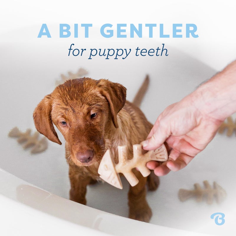 Benebone Puppy Fishbone Dog Chew Toys, Softer for Modest Chewers, Made in USA - Image 2