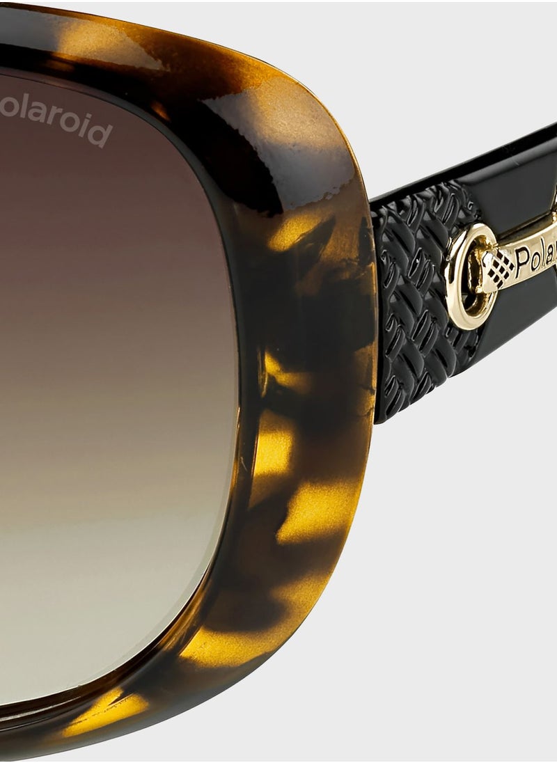 Polaroid P8430 Sunglasses  - Image 3