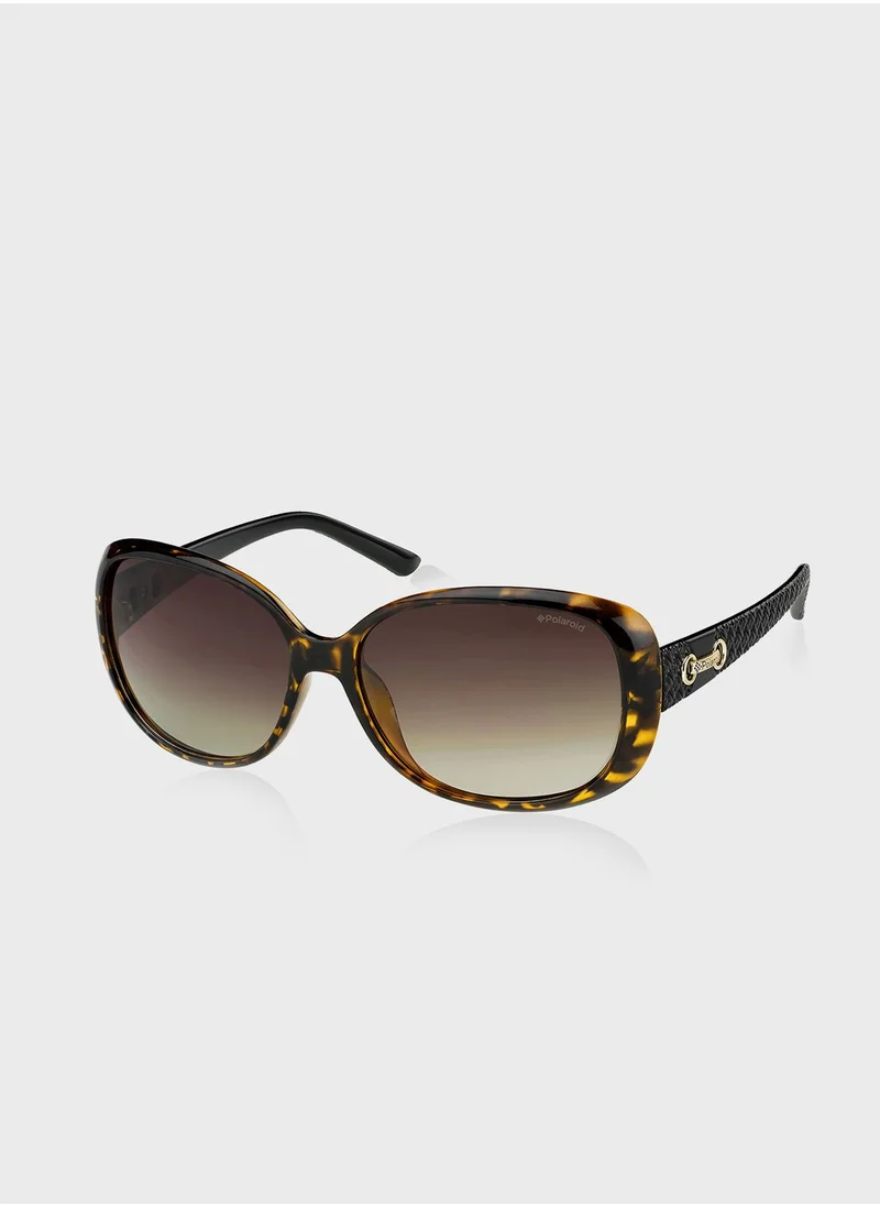 Polaroid P8430 Sunglasses