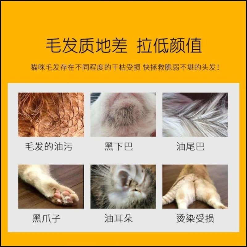 Exclusive Degreasing Shampoo Paste for Sphynx Cats, Premium Cleanser - Image 2