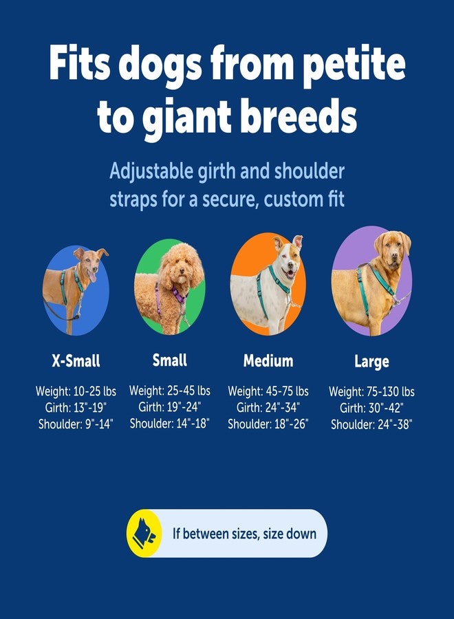 بيت سيف حزام PetSafe 3 في 1 للكلاب الكبيرة - مثالي للمشي والتدريب والسفر - يمنع الحيوانات الأليفة من الشد أثناء المشي - حلقة حزام الأمان تُستخدم أيضًا كمقبض سريع الوصول - عاكس للضوء - كبير، أزرق مخضر - Image 5