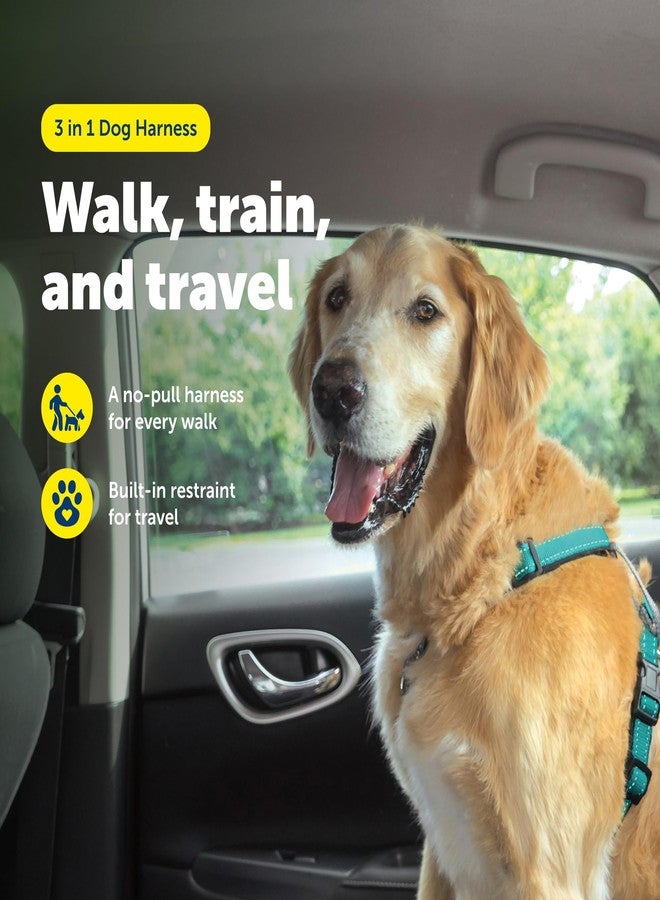 بيت سيف حزام PetSafe 3 في 1 للكلاب الكبيرة - مثالي للمشي والتدريب والسفر - يمنع الحيوانات الأليفة من الشد أثناء المشي - حلقة حزام الأمان تُستخدم أيضًا كمقبض سريع الوصول - عاكس للضوء - كبير، أزرق مخضر - Image 2