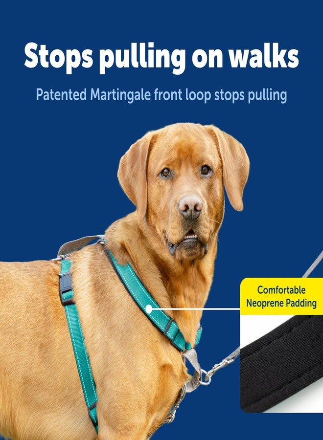 بيت سيف حزام PetSafe 3 في 1 للكلاب الكبيرة - مثالي للمشي والتدريب والسفر - يمنع الحيوانات الأليفة من الشد أثناء المشي - حلقة حزام الأمان تُستخدم أيضًا كمقبض سريع الوصول - عاكس للضوء - كبير، أزرق مخضر - Image 3