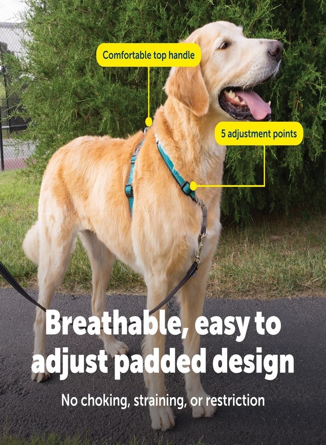بيت سيف حزام PetSafe 3 في 1 للكلاب الكبيرة - مثالي للمشي والتدريب والسفر - يمنع الحيوانات الأليفة من الشد أثناء المشي - حلقة حزام الأمان تُستخدم أيضًا كمقبض سريع الوصول - عاكس للضوء - كبير، أزرق مخضر - Image 4