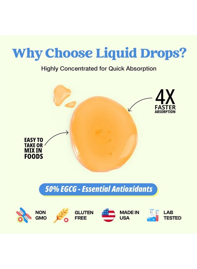 دروبس أوف نايتشر مستخلص الشاي الأخضر 10:1، 50% من EGCG - قطرات سائلة من الشاي الأخضر - نباتي، أقوى بأربع مرات من الحبوب والكبسولات - 2 أونصة، مكمل غذائي مضاد للأكسدة والمناعة - يدعم البشرة والقلب وصحة الدماغ ويعزز الذاكرة - Image 3