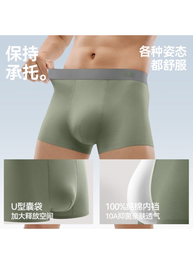 Semir Men's Cotton Antibacterial Mite-resistant Breathable Seamless Plus Size Boxer Briefs 3XL Forest Style