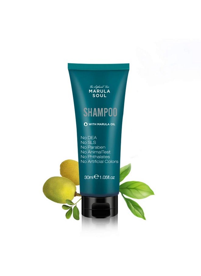 OPPEAL.HOSMALL Oppeal Marula Oil Travel Size Shampoos In Bulk ( 1.05 Fl Oz 50 Pack) Mini Tube For Use In Hotel/Vacation Rental/Guest Room Deeply Cleanning Ambergris Scent Eco Friendly Container All Hair Types  - Image 2