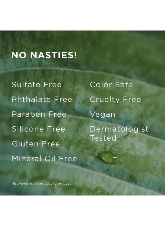 Hairitage - Hairitage Down to the Basics Fragrance-free Shampoo For Sensitive Scalps, 13 Fl Oz - Image 1