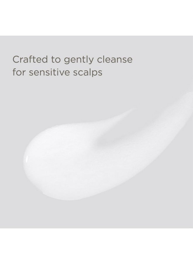 Hairitage - Hairitage Down to the Basics Fragrance-free Shampoo For Sensitive Scalps, 13 Fl Oz - Image 1